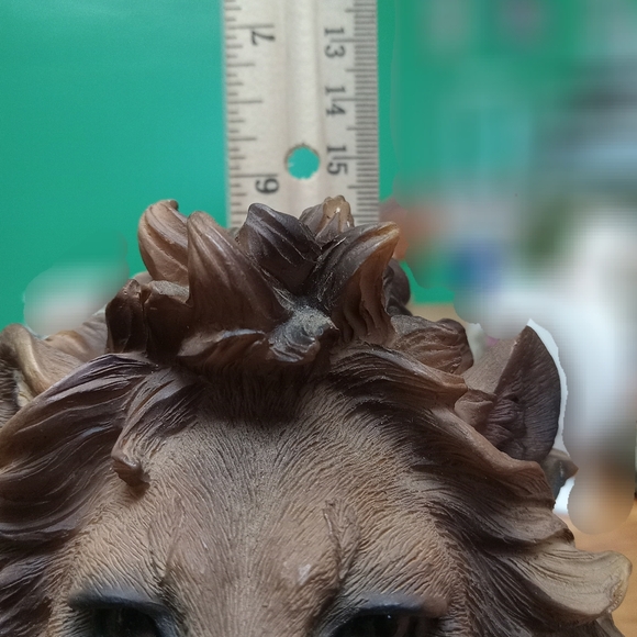 Southwestern Reflections Collection- Lion Vintage - Picture 9 of 9